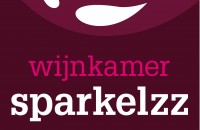 sparkelzz huisstijl